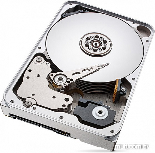 Жесткий диск Seagate Ironwolf 12TB ST12000VN0007
