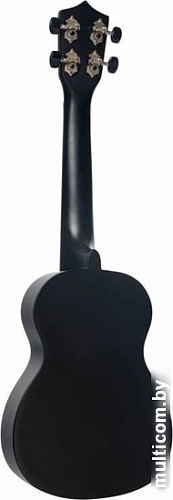 Укулеле Terris TTC-1 BK