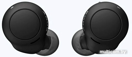 Наушники Sony WF-C500 (черный)