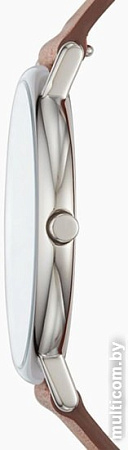 Наручные часы Skagen SKW6429
