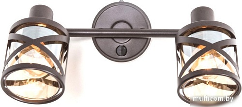 Спот Citilux Гессен CL536625