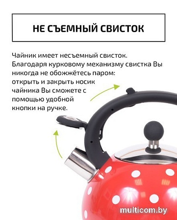 Чайник со свистком TimA WTK241C