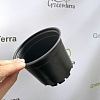 Кассета/горшок для рассады GreenTerra 12x9 см (0.7 л, 100 шт)