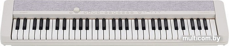 Цифровое пианино Casio CT-S1 (белый)