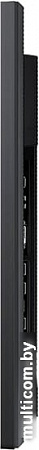Информационная панель Samsung QM43R