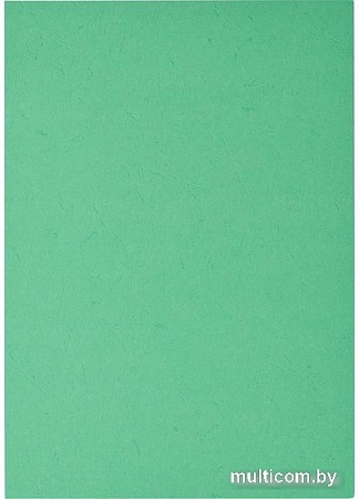 Картонная обложка для переплета ProMega Office А4 230 мкм 254601 (100 шт, кожа, зеленый)