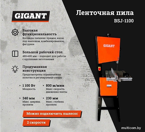 Станок Gigant BSJ-1100