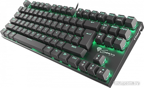 Клавиатура Genesis Thor 300 TKL