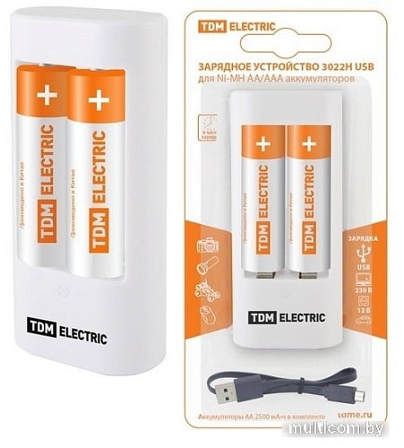 Зарядное TDM Electric SQ1702-0103