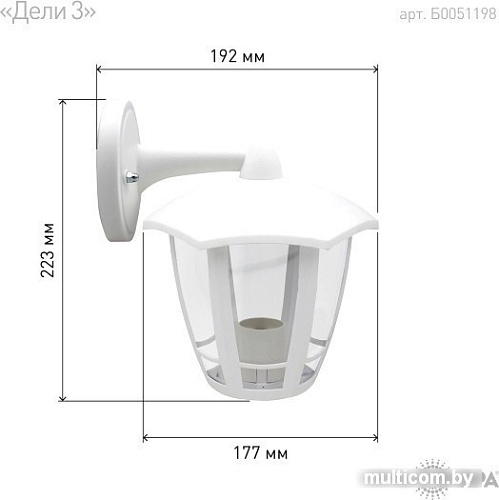 Уличный настенный светильник ЭРА Дели3 НБУ 07-40-004 Б0051198