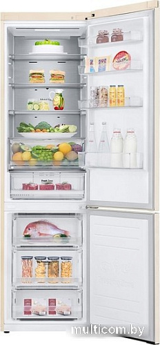 Холодильник LG DoorCooling+ GC-B509SESM