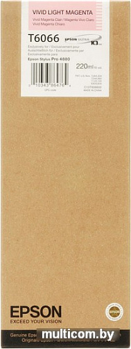 Картридж Epson C13T606600