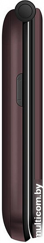 Мобильный телефон TeXet TM-B216 (синий)