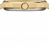 Наручные часы Timex TW2R66900