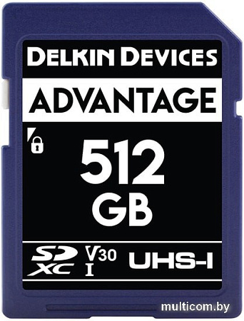 Карта памяти Delkin Devices SDXC Advantage UHS-I 512GB