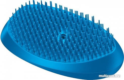 Термощетка Beurer HT 10 для распутывания волос с ионизацией (голубой/розовый)