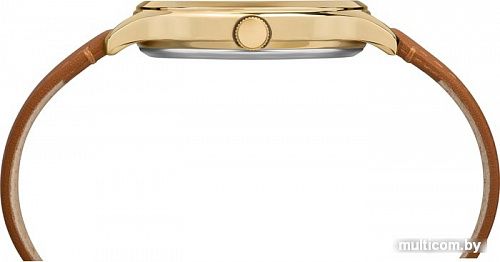 Наручные часы Timex TW2R66900