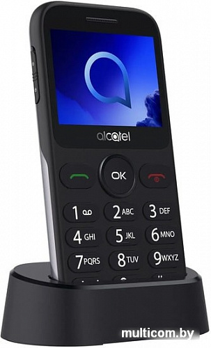 Мобильный телефон Alcatel 2019G (серебристый)