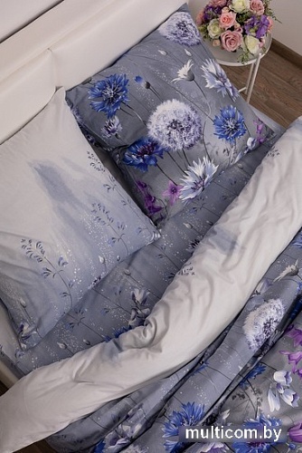 Постельное белье Миланика Раздолье Семейный (поплин)