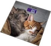 Напольные весы Hottek HT-962-015