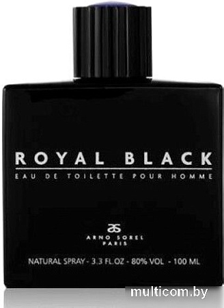 Туалетная вода Arno Sorel Royal Black Man EdT (100 мл)