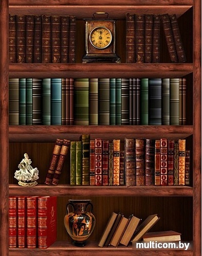 Фотообои Citydecor Библиотека с защитным покрытием 200x254