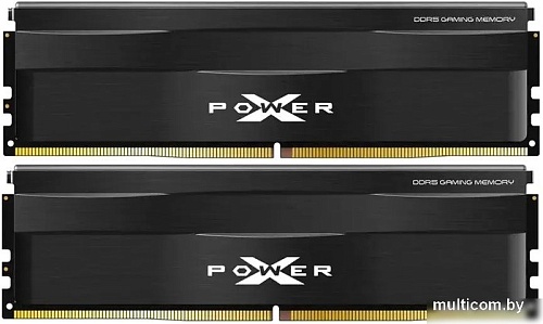 Оперативная память Silicon-Power XPower Zenith 2x16ГБ DDR5 5600 МГц SP032GXLWU560FDE