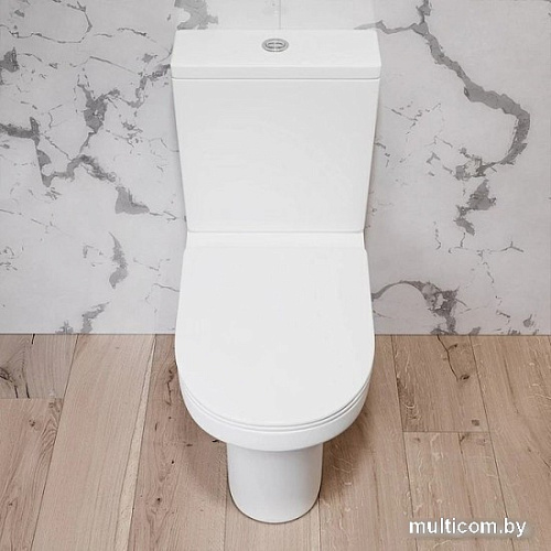 Унитаз Damixa Skyline DX35C8600SC (с сиденьем)