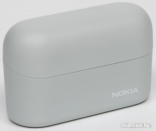 Наушники Nokia Power Earbuds BH-605 (серый)