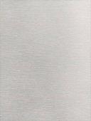 Римская штора Jalux Мальва 1 220x170 (светло-серый)