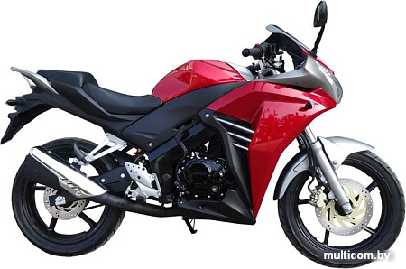 Мотоцикл Racer Skyway RC300CS