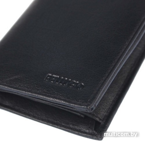 Кошелек Bellugio AM-01R-034