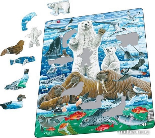 Пазл Larsen Полярный медведь FH42