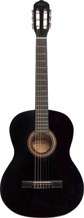 Акустическая гитара Terris TC-395A BK
