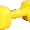 Гантели Reebok RAWT-11053YL 3 кг