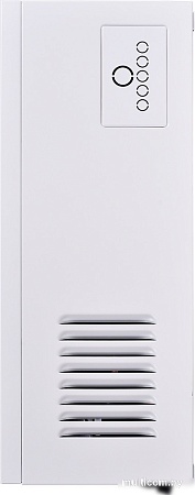 Отопительный котел Thermex Boss 12 Wi-Fi (белый)