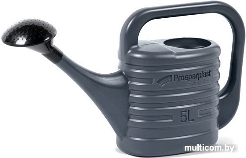 Лейка садовая Prosperplast Zebra IKZ05-S433 (антрацин)