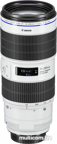 Объектив Canon EF 70-200mm f/2.8L IS III USM