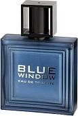 Linn Young Blue Window Men EdT (100 мл)