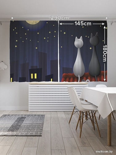 JoyArty Кошачья романтика на крыше p_1182 (145x180)