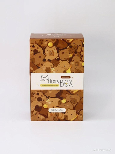 Подарочный набор Milota Box Capybara Box Mini MBS031