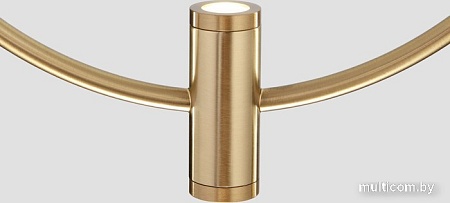 Подвесная люстра Евросвет 50257/3 LED черный/ латунь