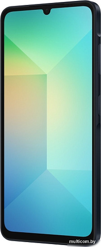Смартфон Samsung Galaxy A06 SM-A065F 4GB/64GB (черный)