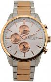 Наручные часы Pierre Cardin PC902741F09