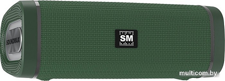 Беспроводная колонка Soundmax SM-PS5019B (зеленый)