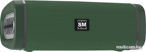 Беспроводная колонка Soundmax SM-PS5019B (зеленый)