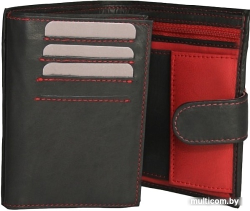 Кошелек Bellugio AM-24-072A