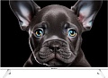 Телевизор Topdevice 24&quot; OS SALUTE TV (белый)