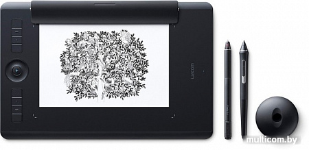 Графический планшет Wacom Intuos Pro Paper Edition PTH-660P (средний размер)