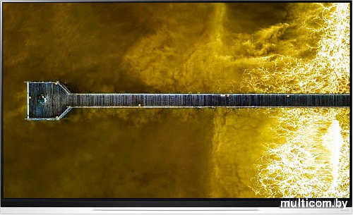 Телевизор LG OLED65E9PLA